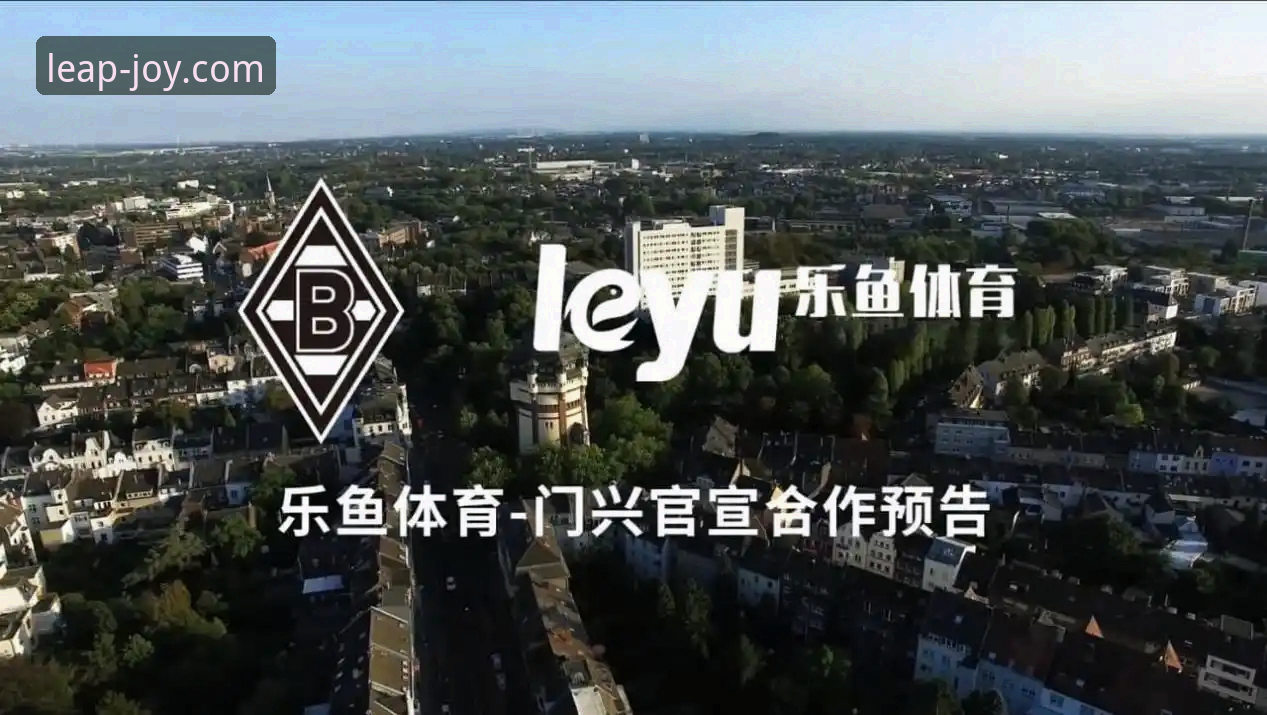 乐鱼体育平台下载全流程深度分析：从安装到安全验证的完整指南